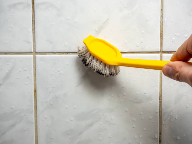 Home Mold Removal in Braddock, PA