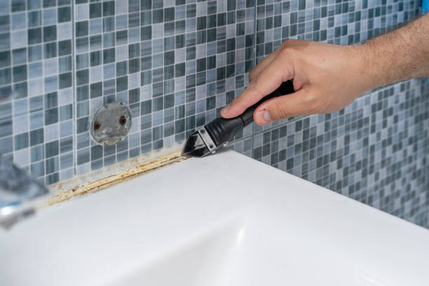 Best Same-Day Mold Removal  in Braddock, PA